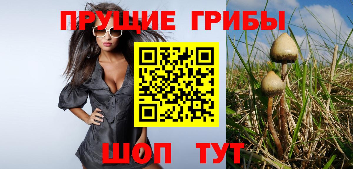 Галлюциногенные грибы прущие грибы Луга